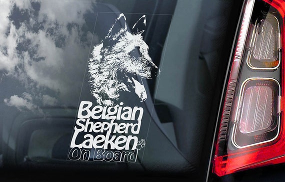 Belgian Laeken on Board - Car Window Sticker - Laekenois Shepherd Dog Sign Decal Art Gift - V01