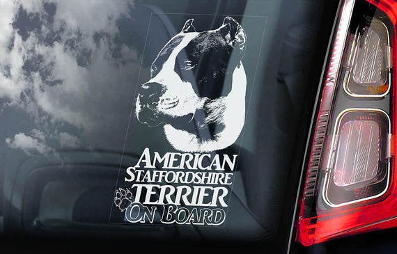 American Staffordshire Terrier on Board - Car Window Sticker - Staffie Staffy Bull Dog Sign Decal Gift - V13