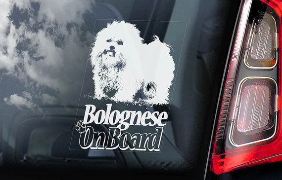 Bolognese on Board - Car Window Sticker - Bichon Botoli Bottolo Dog Sign Decal Art Gift - V01