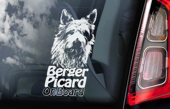 Berger Picard on Board - Car Window Sticker - Dog de Picardie Sign Decal Art Gift - V01