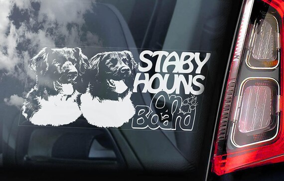 Stabyhouns on Board - Car Window Sticker - Stabyhoun Stabij Beike Dog Sign Decal - V02
