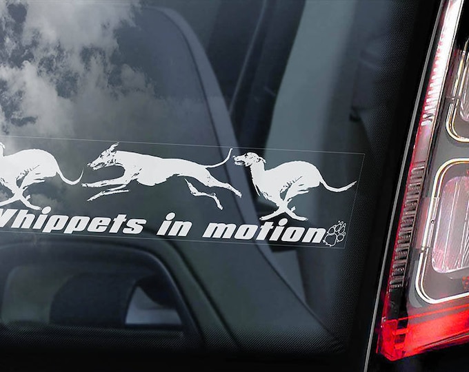 Whippets in Motion - Car Window Sticker - English Whippet Snap Dog on Board Sign Decal - V03