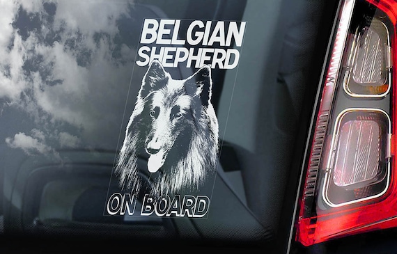 Belgian Shepherd on Board - Car Window Sticker - Groenendael Chien de Berger Dog Sign Decal Art Gift - V01