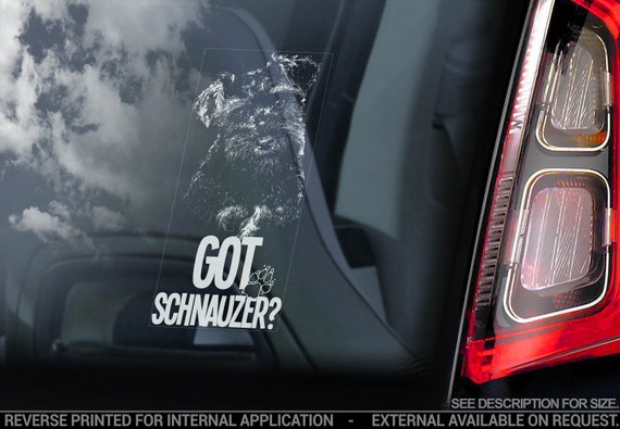 Got Schnauzer? on Board - Car Window Sticker - Standard Miniature Dog Sign Bumper Decal - V06