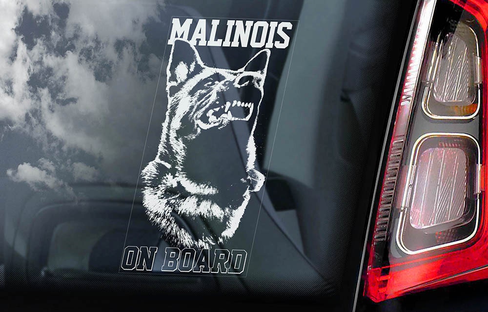 Belgian Malinois on Board V03 Car Window Sticker Mechelse Dog Sign Decal 