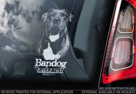 Bandog on Board - Car Window Sticker - Beware of the Dog Bandogge Sign Decal - V04