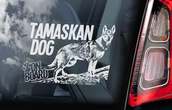 Tamaskan Dog on Board - Car Window Sticker - Tam Husky Sign Decal - V05