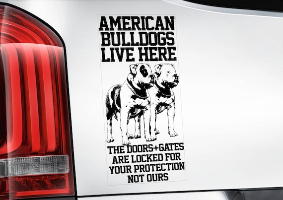 American Bulldogs Live Here - Car Window Sticker - Beware of the Dog Bully Scott Sign Decal -V06BLK