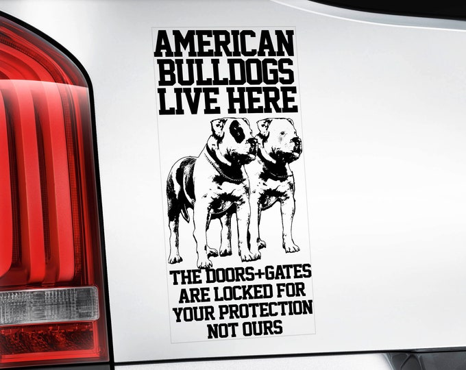 American Bulldogs Live Here - Car Window Sticker - Beware of the Dog Bully Scott Sign Decal -V06BLK