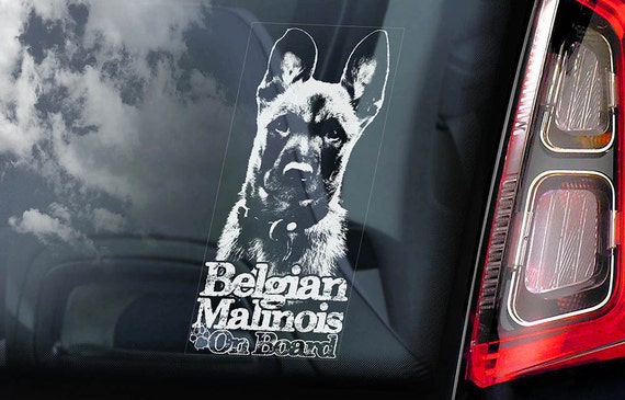 Belgian Malinois on Board - Car Window Sticker - Mechelse Herder Security K9 Dog Sign Decal  -V09