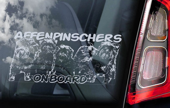 Affenpinschers - Car Window Sticker - Dog on Board Sign Decal  -V02