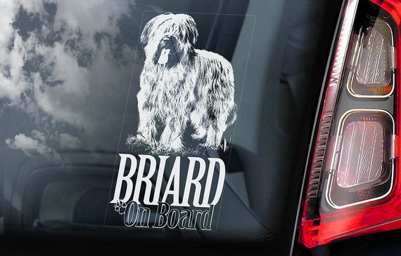 Briard on Board - Car Window Sticker - Berger de Brie Dog Sign Decal - V01