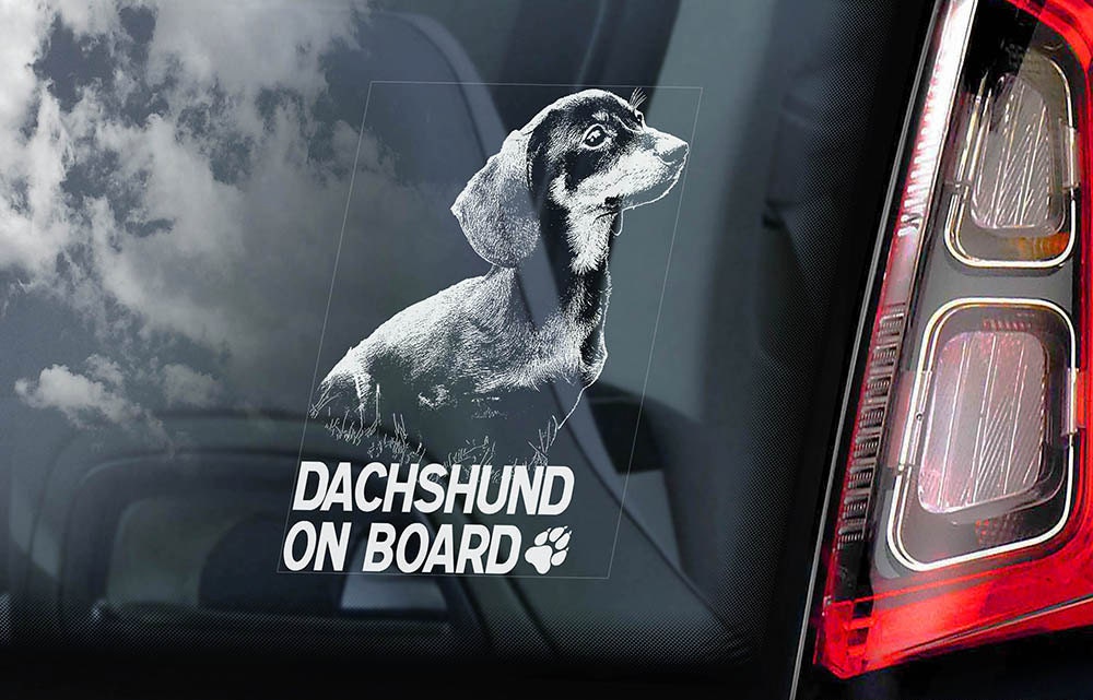 Rottweiler à bord voiture fenêtre Rottie chien signe dautocollant