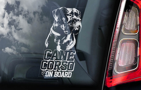 Cane Corso on Board - Car Window Sticker - Beware of the Dog - Italian Mastiff Sign Decal  -V06