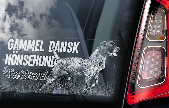 Gammel Dansk Honsehund - Car Window Sticker - Dog on Board Sign - Old Danish Pointer Decal -V01