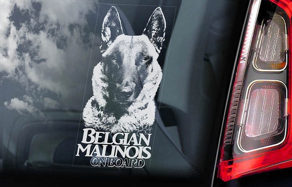 Belgian Malinois on Board - Car Window Sticker - Mechelse Herder Security K9 Dog Sign Decal  -V17