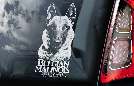 Car Window Sticker Mechelse Dog Sign Decal Belgian Malinois on Board V10