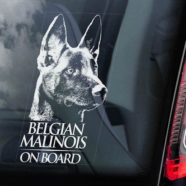 Belge Malinois à bord - voiture fenêtre - criée pasteur Herder chien signe d’autocollant-V01