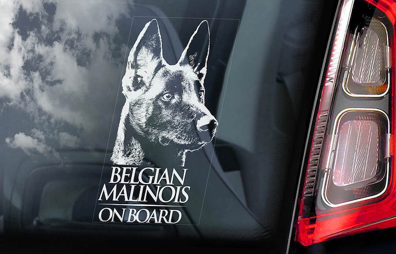 Belgian Malinois on Board Car Window Sticker Mechelse Herder Pastor Dog Sign Decal V01 image 1
