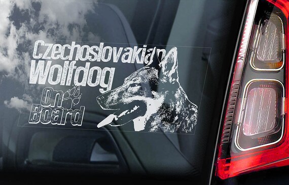Chien Loup Tchécoslovaque à Bord Voiture Fenêtre Autocollant Vlcak Cane Lupo Cecoslovacco Signe Decal V09