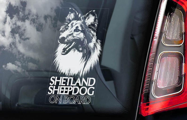 Sheltie Auto Aufkleber,Shetland Schäferhund Fenster Aufkleber Schild Hunde
