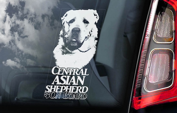 Central Asian Shepherd - Car Window Sticker - Ovtcharka Aziat Dog on Board Sign Decal - V02