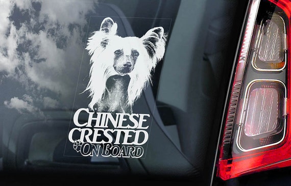 Chinese Crested Dog on Board - Car Window Sticker - Sign Cute Gift Idea Art Decal - V03