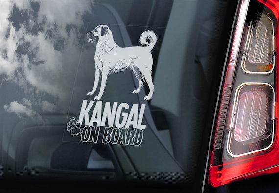Kangal on Board - Car Window Sticker - Turkish Sivas Dog Sign Decal  -V02