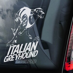 May include: White silhouette of an Italian Greyhound running with the text "ITALIAN GREYHOUND ONBOARD" on a black car window.