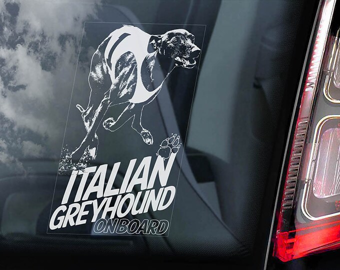Italian Greyhound on Board  - Car Window Sticker - Levrette d'Italie Galgo italiano Dog Sign Decal  -V03