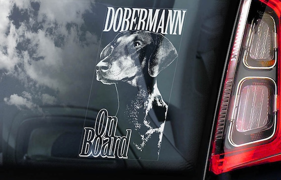 Dobermann on Board - Car Window Sticker - Doberman Pinscher K9 Dog Sign Decal Uncropped -V02