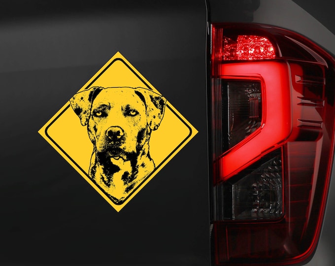 Louisiana Leopard Dog Sticker -  Beware of the K9 Catahoula Warning Sign Car Decal Security -YEL1