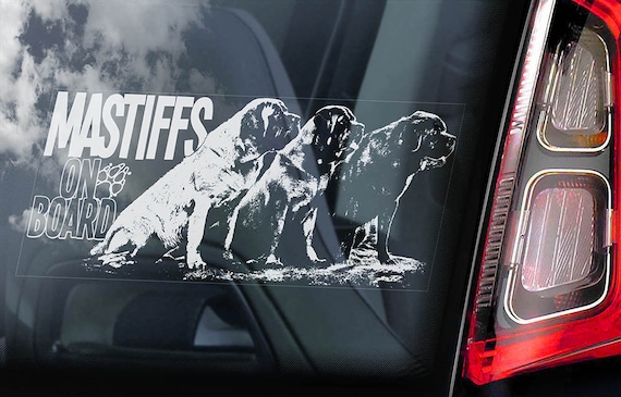 Mastiffs on Board - Car Window Sticker - English Mastiff Molosser Dog Sign Decal - V05