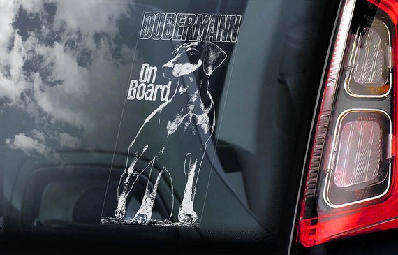 Dobermann on Board - Car Window Sticker - Doberman Pinscher K9 Dog Sign Decal Uncropped -V05