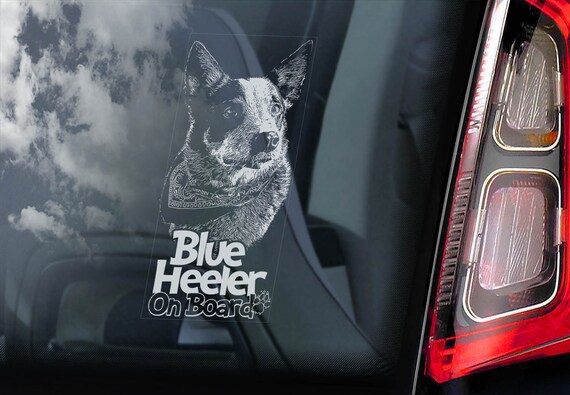 Blue Heeler on Board - Car Window Sticker - Australian Cattledog Sign Decal Gift - V03