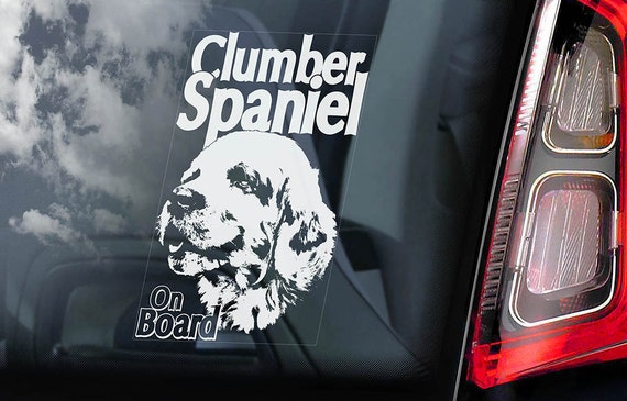 Clumber Spaniel on Board - Car Window Sticker - Dog Sign Art Decal - V01