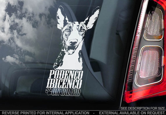 Podenco Ibicenco on Board - Car Window Sticker - Canario Hound Dog Sign Decal - V03