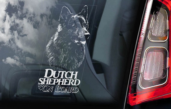 Dutch Shepherd on Board - Car Window Sticker - Hollandse Herder Dog Sign Gift Decal - V02