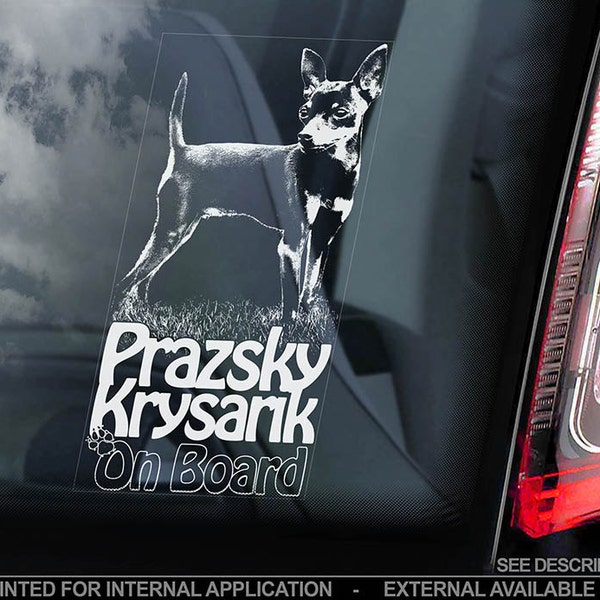 Prazsky Krysarik on Board - Car Window Sticker - Pražský Krysařík Prague Ratter Dog Sign Decal - V01