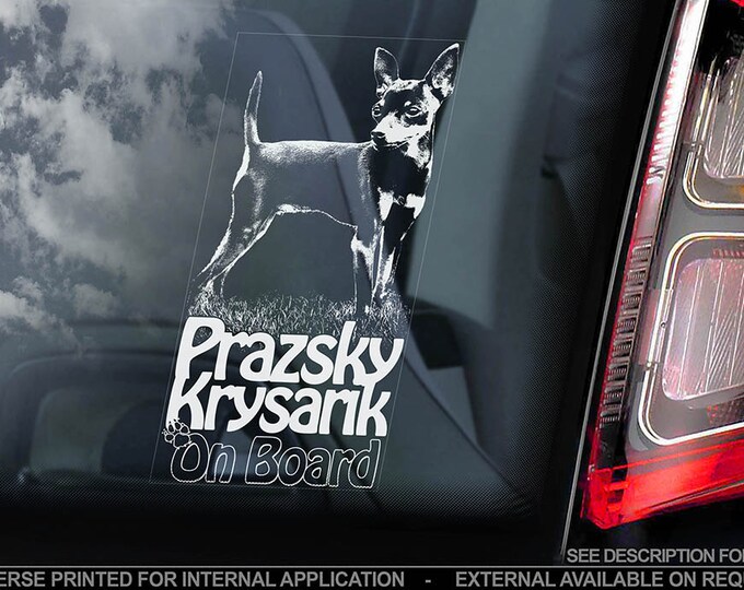 Prazsky Krysarik on Board - Car Window Sticker - Pražský Krysařík Prague Ratter Dog Sign Decal - V01