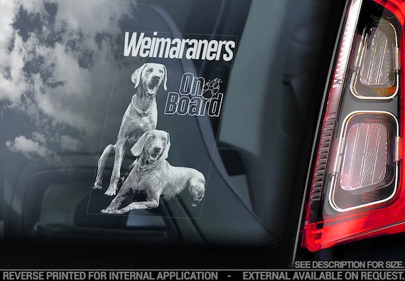 Weimaraners on Board - Car Window Sticker - Weimaraner Dog Sign Bumper Decal - V05