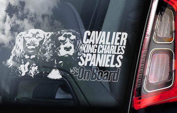 Cavalier King Charles Spaniel - Car Window Sticker - Dog on Board Sign Decal - V05