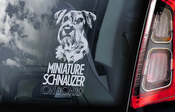 Miniature Schnauzer on Board - Car Window Sticker - Zwergschnauzer Dog Sign Decal -V05