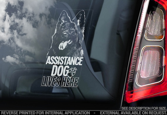 Assistance Dog Lives Here - Car Window Sticker - German Shepherd Stroke Detection Dog Sign Decal - V15