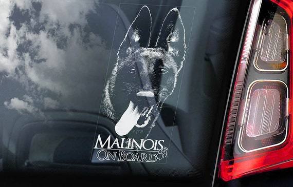Malinois on Board - Car Window Sticker - Belgian Mechelse Herder Security K9 Dog Sign Decal  -V05