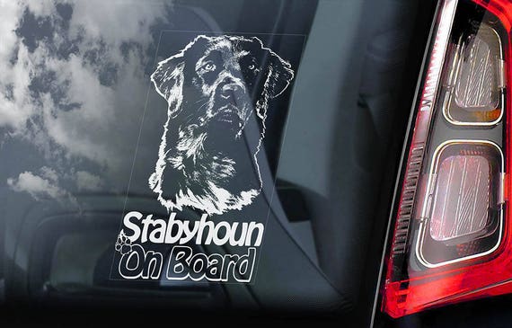 Stabyhoun on Board - Car Window Sticker - Stabij Beike Dog Sign Decal - V01