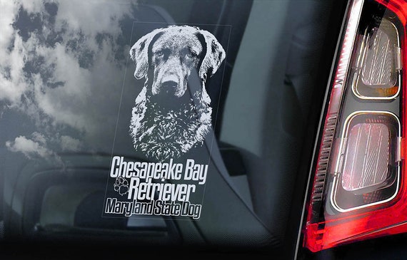 Chesapeake Bay Retriever - Car Window Sticker - Maryland CBR Dog Sign Decal - V02