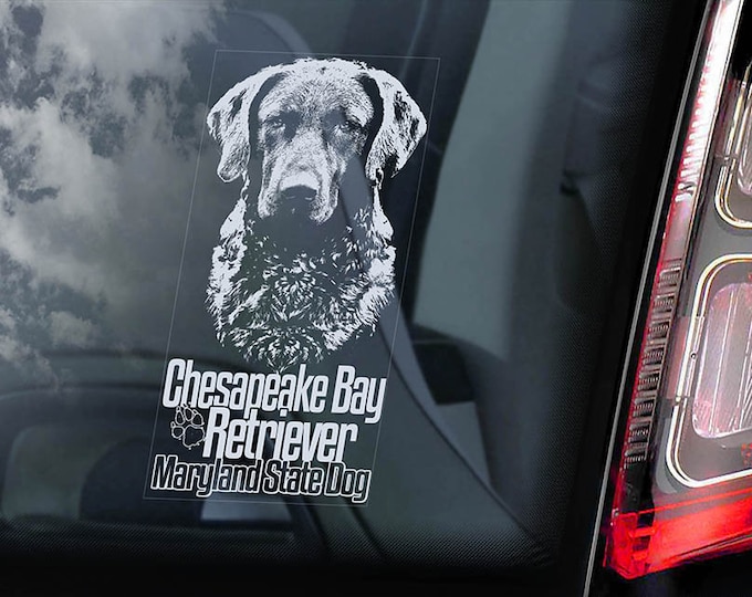 Chesapeake Bay Retriever - Car Window Sticker - Maryland CBR Dog Sign Decal - V02