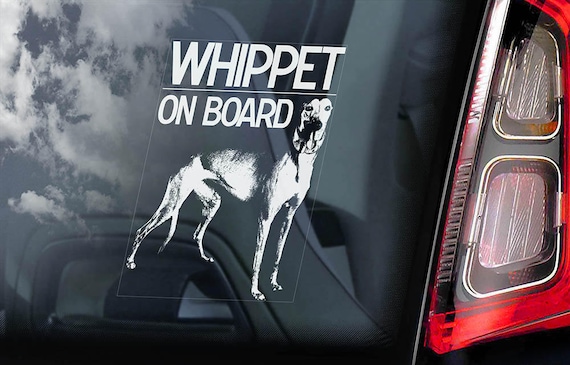 Whippet on Board - Car Window Sticker - English Snap Dog Sign Decal Rescue Gift - V01