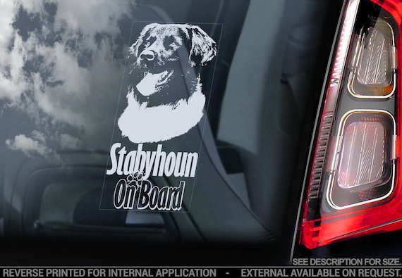 Stabyhoun on Board - Car Window Sticker - Stabij Beike Dog Sign Decal - V04